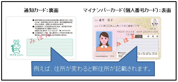 イラスト：例えば住所が変わると通知カード（左）は裏面に、マイナンバーカード（個人番号カード）（右）は表面に、新住所が記載されます。