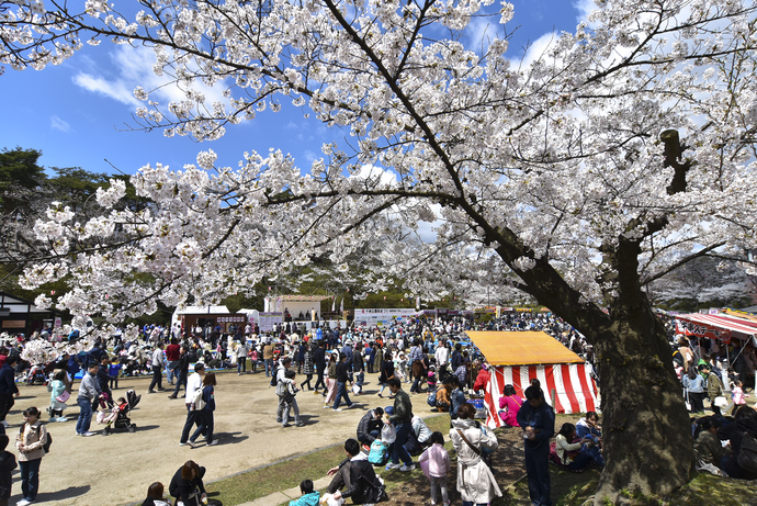 秋田市写真館・千秋公園｜秋田市公式サイト