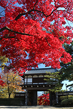 秋田県立小泉潟公園