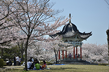 写真：一つ森公園