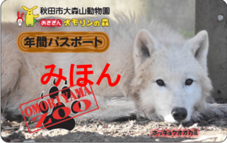 写真:年間パスポート