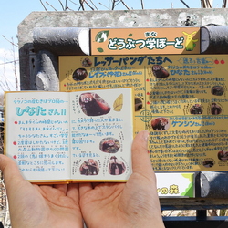 写真：手のひら大森山動物園