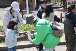 写真:イベントのお手伝い