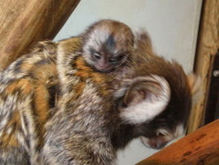 写真：ちゃんとお姉ちゃんしてます