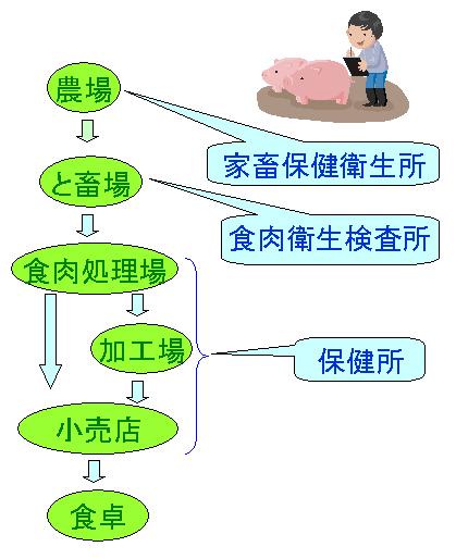 イラスト：農場から食卓までの安全を守るフローチャート