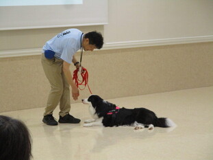 令和6年度犬の飼い方講座の写真