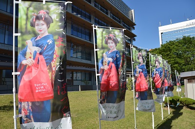 写真：のぼり