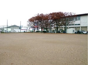 茨島運動広場の写真