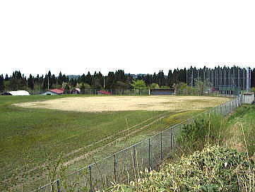 河辺岩見三内野球場の写真