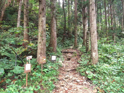 写真：登山口