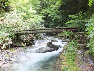 写真：7の橋