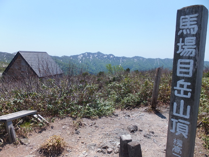 写真：馬場目岳山頂