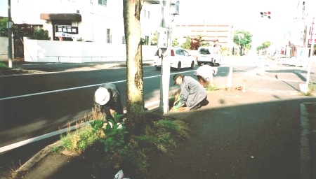 写真：人力での草刈りの様子