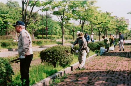 写真：低木剪定の様子