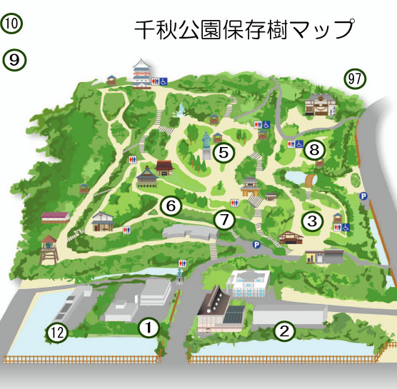 イラスト：千秋公園保存樹マップ