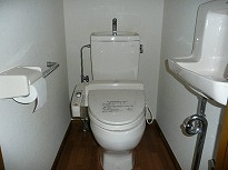 写真：新波Aタイプのトイレ