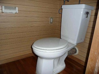 写真：川尻Aタイプのトイレ