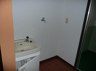 写真：川尻Aタイプの洗面・脱衣室