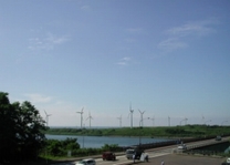 写真：旧秋田空港跡地風車群1
