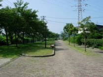 写真：大川散歩道3