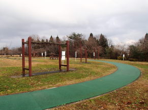 写真：一つ森公園の介護予防器具3