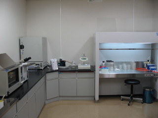 写真：細菌検査室