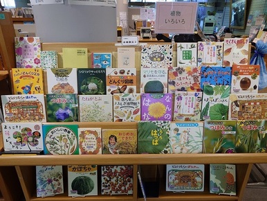 企画展示2コーナーの写真