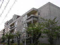 写真：旭南市営住宅11から12号棟の外観