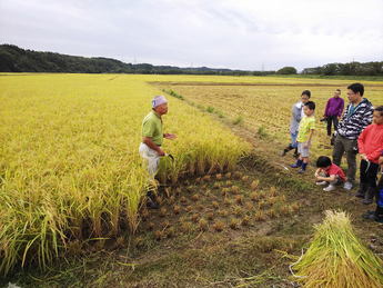 稲刈り前のレクチャー風景