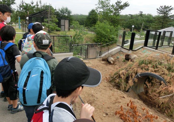 動物園