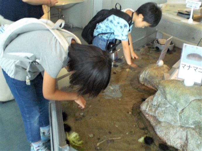 男鹿水族館