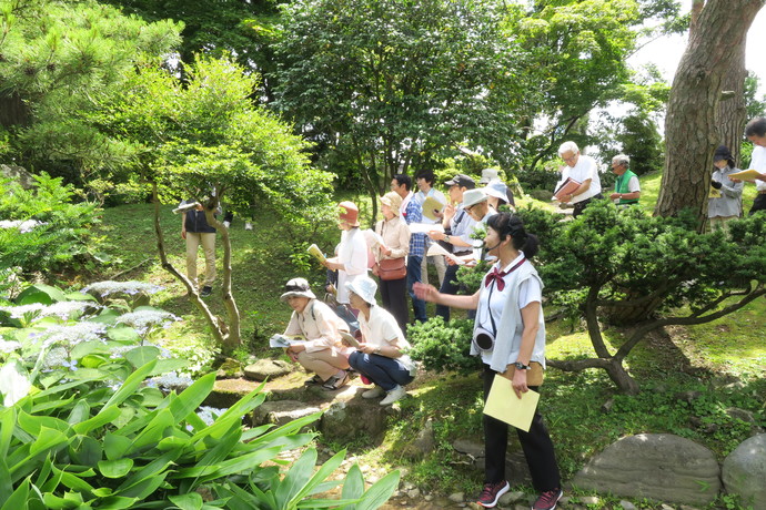 植物観察会の様子