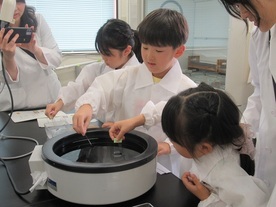 病理検査の様子