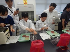 細菌検査の様子