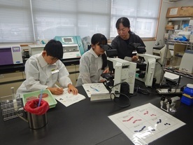 細菌検査の様子
