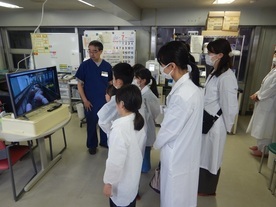 と畜場見学の様子