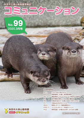 コミュニケーションNo.99表紙画像コツメカワウソの親子