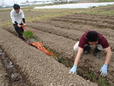 写真5月04