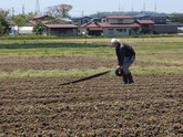 写真5月11