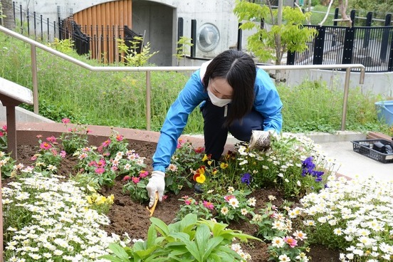 写真：ガーデンボランティアの活動の様子