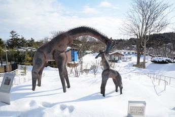 写真：雪積もった動物園