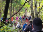 写真：秋の太平山前岳登山2