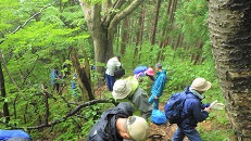 写真：登山の様子