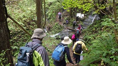 写真：登山の様子