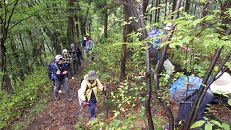 写真：登山の様子