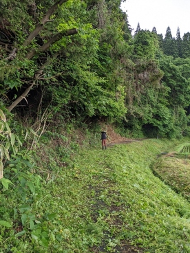 写真：水路周辺の草刈りの様子