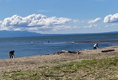 ももさだ海岸清掃活動の様子