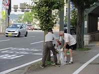 竿燈まつり前清掃の様子