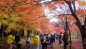 活動の様子：ダム公園