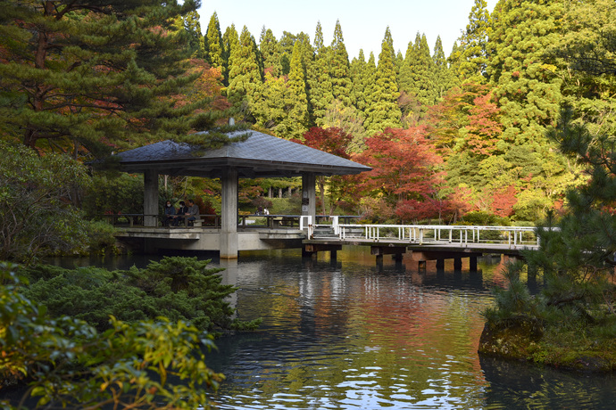 紅葉と水心苑の水面